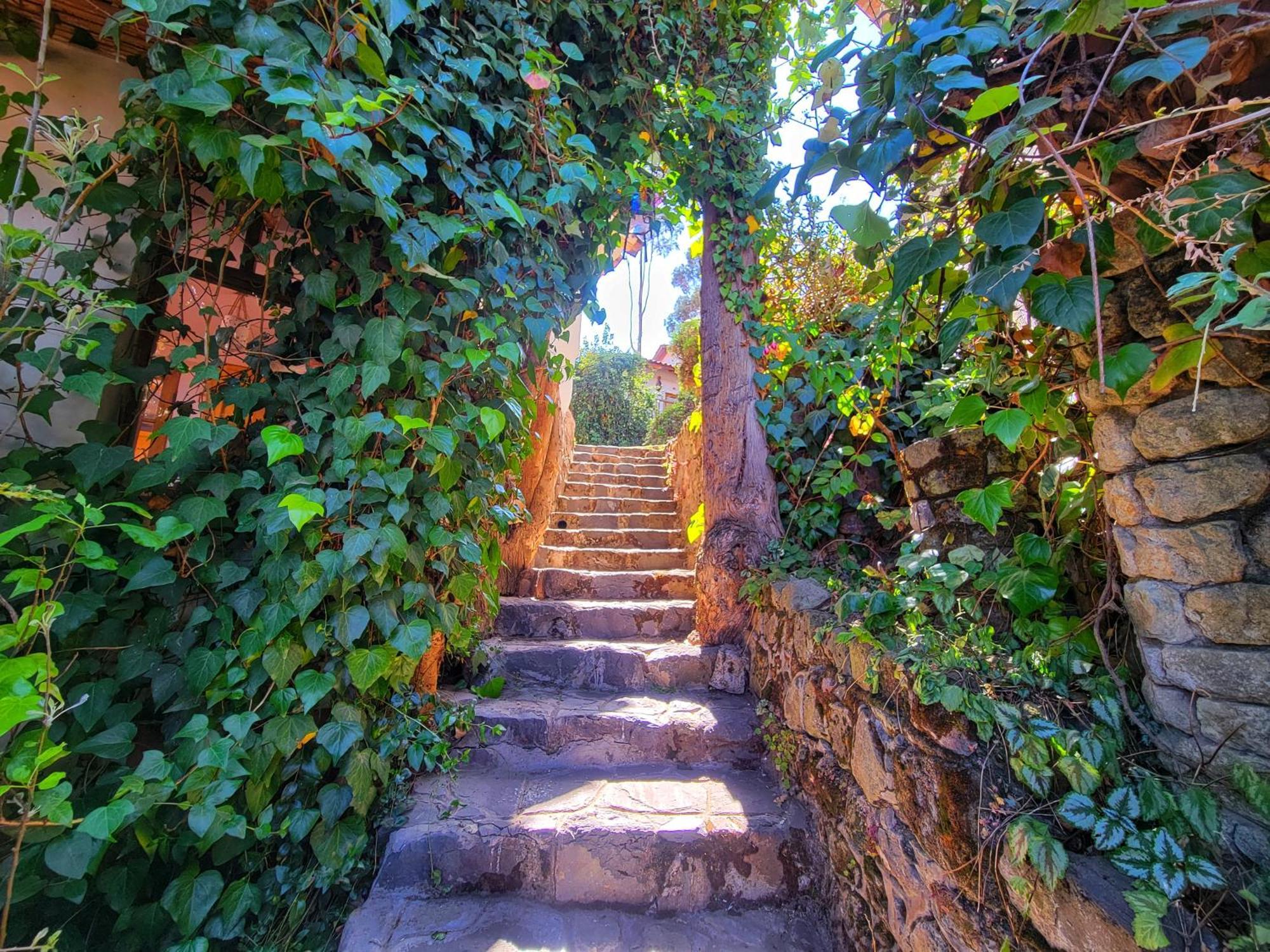 La Casa De Campo 쿠스코 외부 사진
